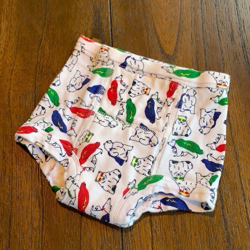 Hanna Andersson Padded Training Underwear